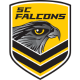 Client Falcons-1